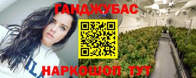 стафф Партизанск