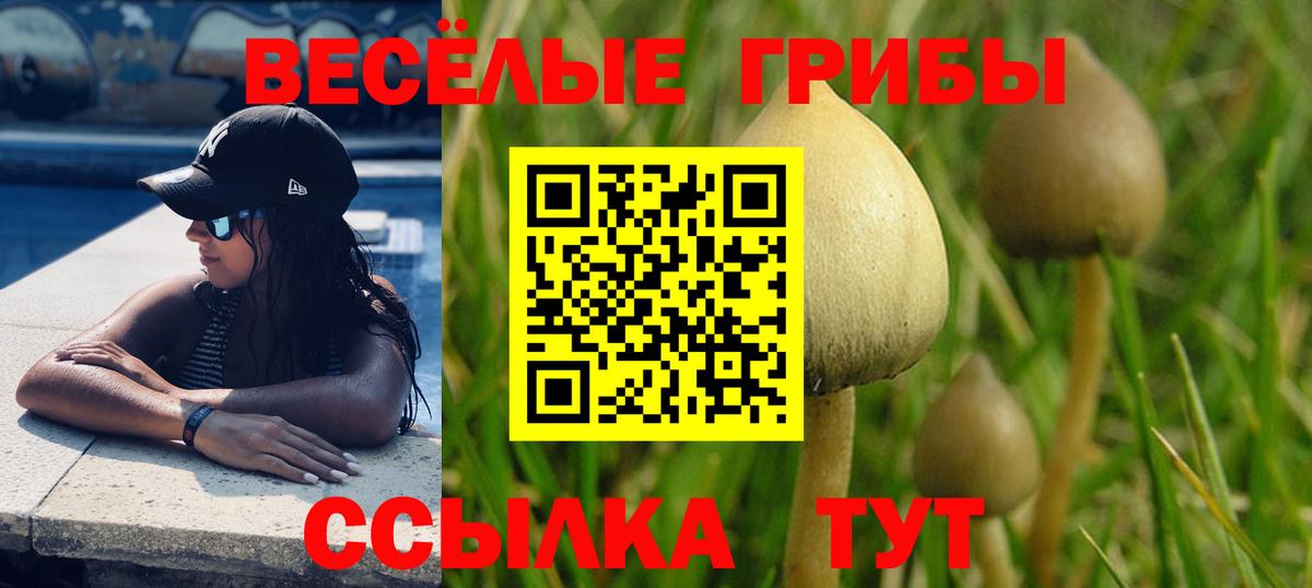 Сланцы  Псилоцибиновые грибы Cubensis  Псилоцибиновые грибы Magic Shrooms  Вход с VPN 